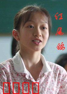 红尾鸽：最后的飞翔