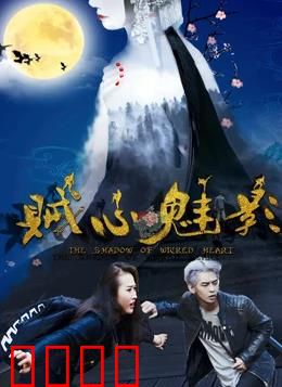 贼心魅影：惊魂夜盗心