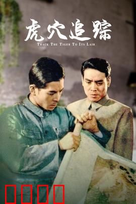 虎穴追踪：卧底生死局