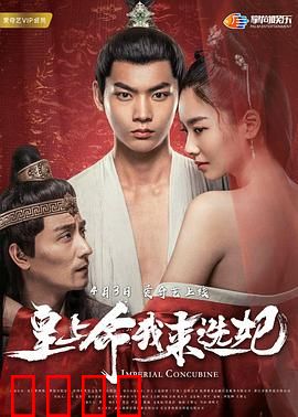 皇上命我来选妃：穿越女逆袭后宫