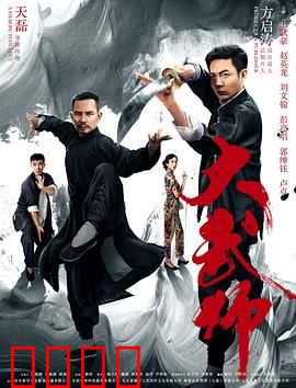 大武师：武林传奇