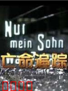 亡命追踪：生死抉择