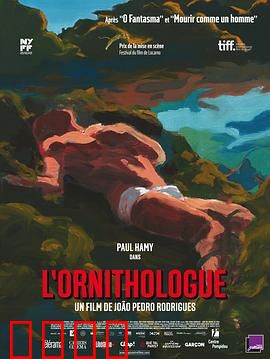 鸟类学家：荒野神迹