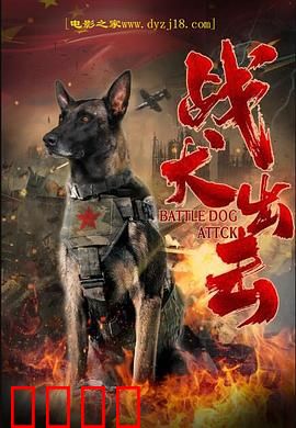 战犬出击：人狗情未了