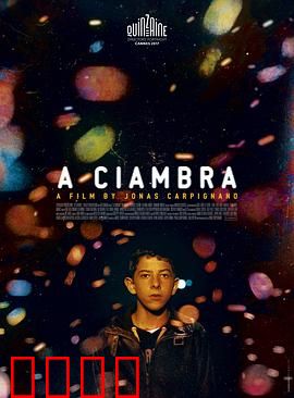 罗姆男孩：边缘生存记