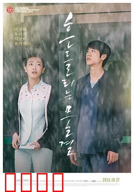 绽放2015：梦想花开