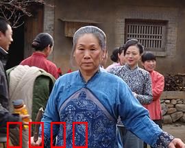 野茱萸：血色山果