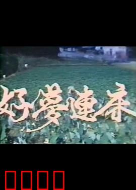 好梦连床：噩梦床的诅咒