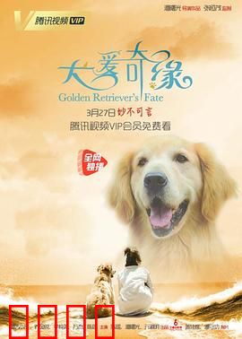 犬爱奇缘：跨越物种的爱恋