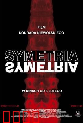 对称：双面人生