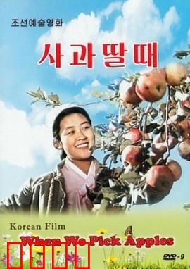 摘苹果的时候：朝鲜农村改革缩影