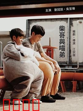 柴哥与喵弟：跨物种兄弟情