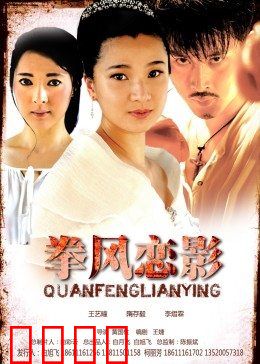 拳风恋影：铁拳与舞鞋