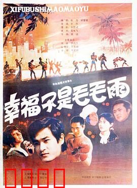 幸福不是毛毛雨：改革初期的拼搏与温情