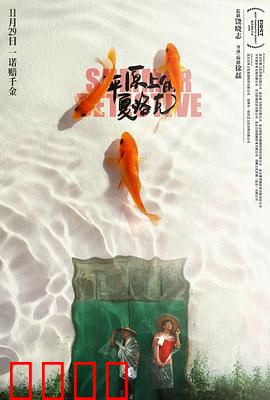 平原上的夏洛克：农村大爷追凶记