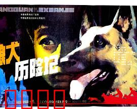 狼犬历险记：智斗盗宝贼