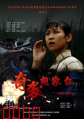 奇袭胡家台：铁血夜袭