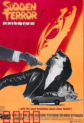 小英雄与大刺客：正义的碰撞