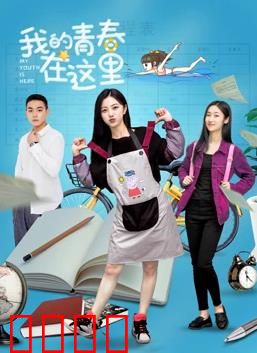我的青春在这里：无悔岁月