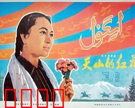 天山的红花：草原女儿情