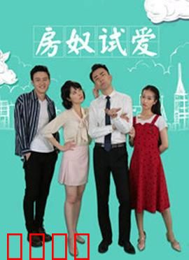 房奴试爱：爱情与房贷的终极考验