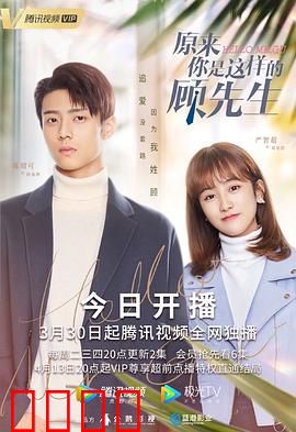 原来你是这样的顾先生：霸总追妻记