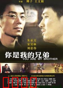 你是我的兄弟：情深似海