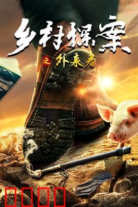 乡村探案之外来者：神秘来客之谜