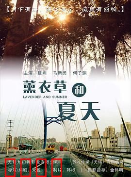 薰衣草和夏天：夏日恋歌