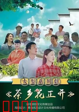 茶乡花正开：青春茶语