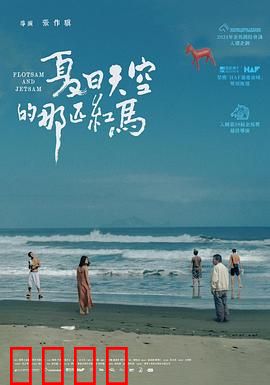 夏日天空的那匹红马 夏日天空的那匹紅馬：家庭的羁绊与自由