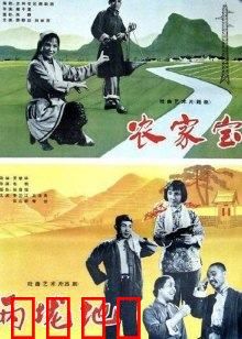 农家宝：小农具大智慧