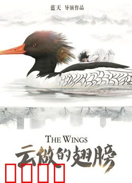 云做的翅膀：梦想的羽翼
