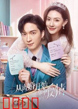 从离婚开始的爱情：破镜重圆记