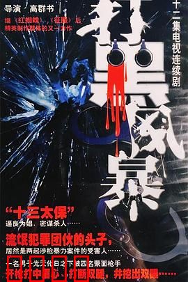 打黑风暴：正义不灭