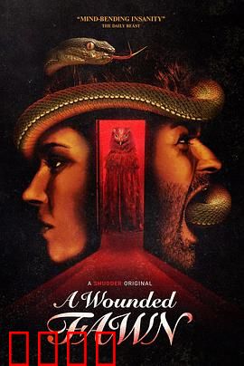 受伤的小鹿：月光下的救赎