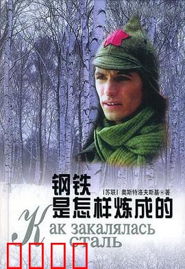 钢铁是怎样炼成的：不灭的革命信仰