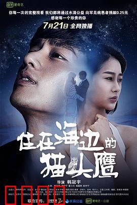 住在海边的猫头鹰：治愈心灵的孤独之旅