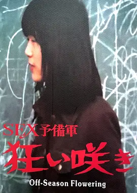 淡季花开：逆境中的浪漫