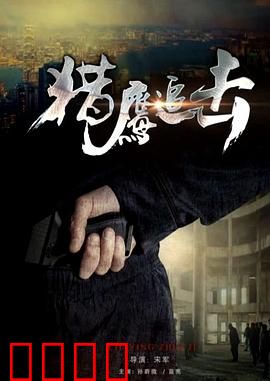 猎鹰追击：正义的猎手