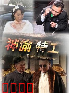 神偷特工：双重身份