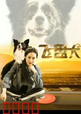 飞盘犬：忠诚与梦想的飞跃