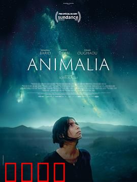 动物界：觉醒之力