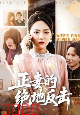 正妻的绝地反击：隐忍十年终复仇