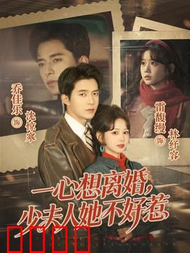 一心想离婚，少夫人她不好惹：霸总追妻火葬场