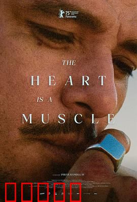 心如肌理：肌肤刻录心痕